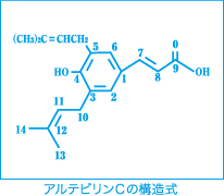 画像_アルテビリンC構造式